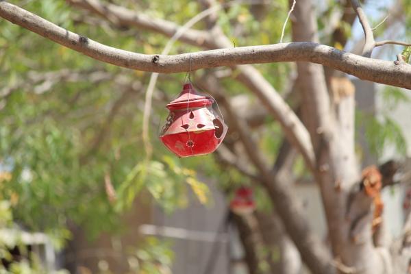 Gardi Vidyapith Rajkot CampusLife photo 10